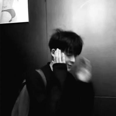 Furry二次元拟人美学福瑞群