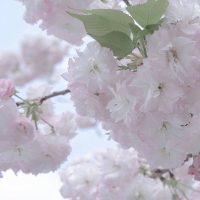 Furry插画构图思路兽圈社群